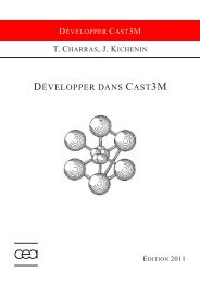 DÃVELOPPER DANS CAST3M - CEA