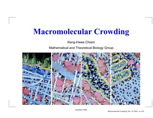 Macromolecular Crowding