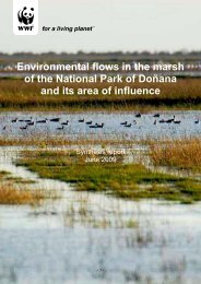 Environmental flows in the marsh of the National Park of ... - WWF