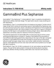 GammaBind Plus Sepharose