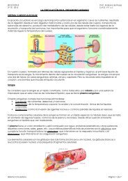 Sistema Circulatorio. Prof. Emiliana de Rosas