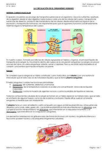 Sistema Circulatorio. Prof. Emiliana de Rosas