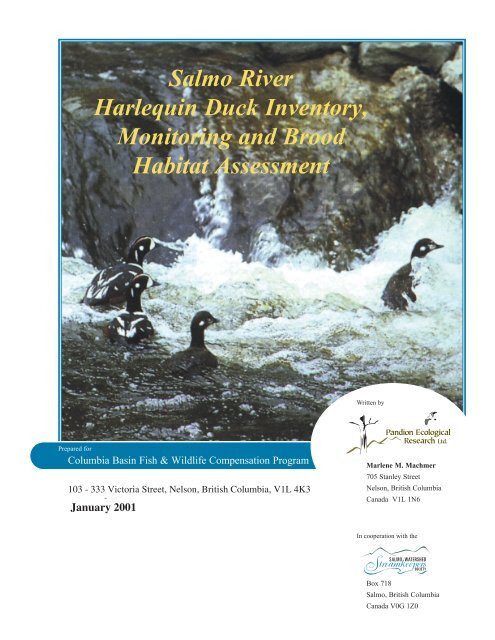 Salmo River Harlequin Duck Inventory, Monitoring and Brood ...