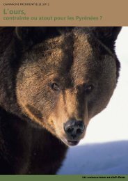 L'ours, contrainte ou atout pour les Pyrénées - Ferus
