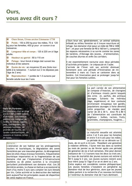 L'ours, contrainte ou atout pour les Pyrénées - Ferus
