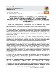 Version en PDF - SecretarÃ­a del Trabajo y PrevisiÃ³n Social