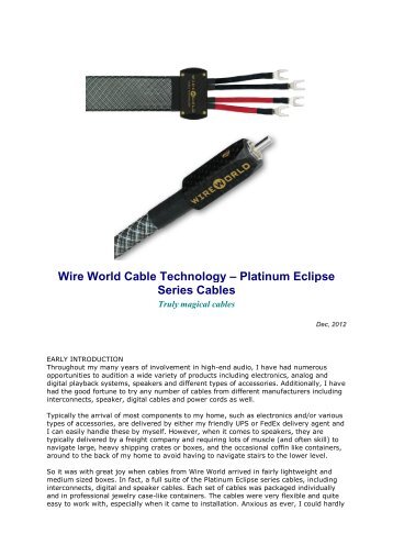 Wire World Cable Technology â Platinum Eclipse ... - DSM Audio