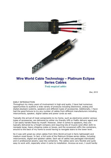 Wire World Cable Technology â Platinum Eclipse ... - DSM Audio