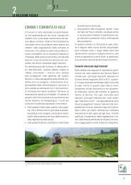 file pdf BILSOC2010_6 99 KB - Servizio Bacini montani