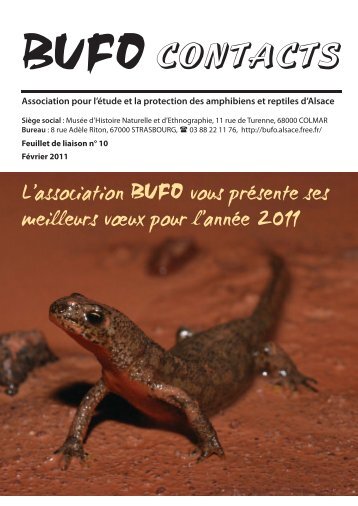 BUFO CONTACTS - Bufo - Free