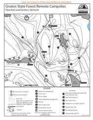 Remote Camping in Groton State Forest - Vermont State Parks