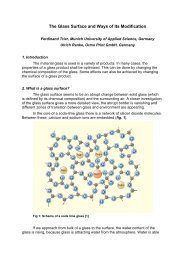 The Glass Surface and Ways of Its Modification