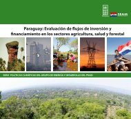 Paraguay: EvaluaciÃ³n de flujos de inversiÃ³n y ... - UNDPCC.org