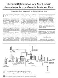 Chemical Optimization for a New Brackish Groundwater Reverse ...