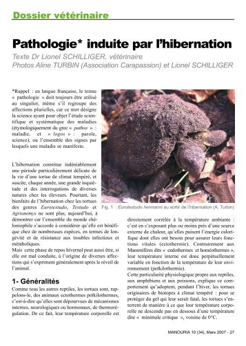 Pathologie* induite par l'hibernation - Clinvet - Village d'Auteuil