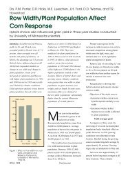 Row Width/Plant Population Affect Corn Response - Fluid Fertilizer ...