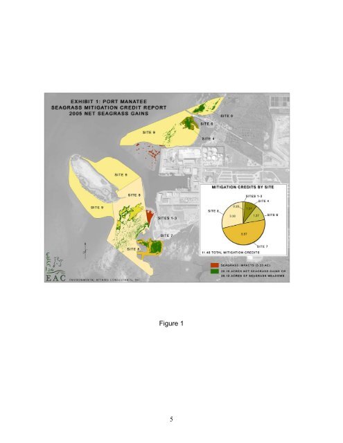 Port Manatee Seagrass Mitigation and Management Area