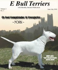 Download June/July Edition in PDF - E Bullterriers