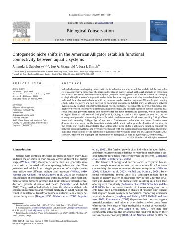 Ontogenetic niche shifts in the American Alligator establish ...