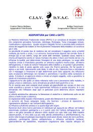 AGOPUNTURA per CANI e GATTI - SIAV