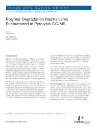 Polymer Degradation Mechanisms Encountered in ... - PerkinElmer