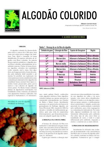 ALGODÃO COLORIDO - Biotecnologia