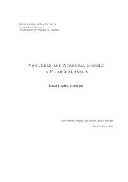 Nonlinear and Nonlocal Models in Fluid Mechanics - ICMAT