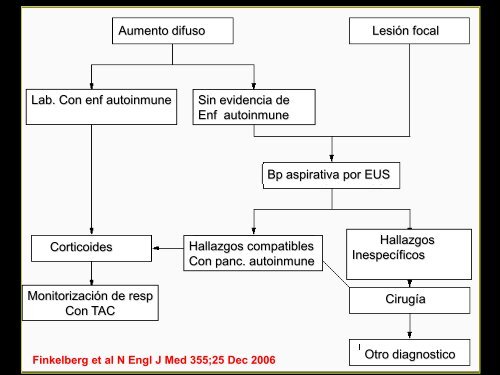 Pancreatitis Autoinmune