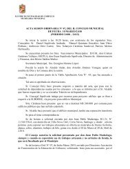ILUSTRE MUNICIPALIDAD DE COIHUECO - I. Municipalidad de ...