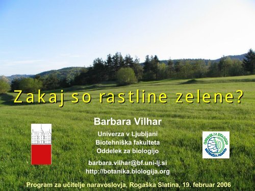 Zakaj so rastline zelene?