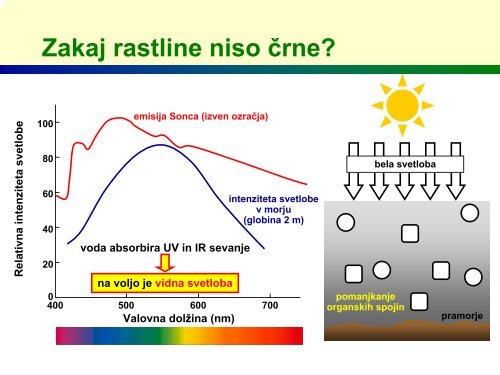 Zakaj so rastline zelene?