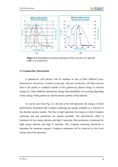 Suren Kandasamy Dissertation.pdf - University of Surrey