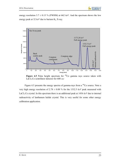 Suren Kandasamy Dissertation.pdf - University of Surrey