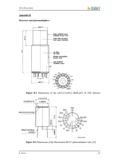 Suren Kandasamy Dissertation.pdf - University of Surrey