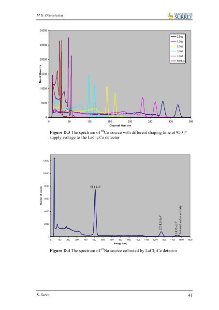 Suren Kandasamy Dissertation.pdf - University of Surrey