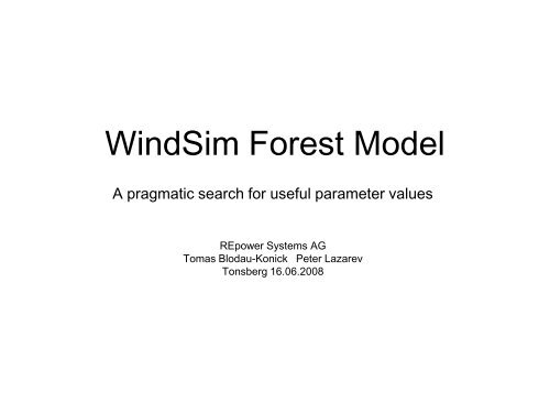 WindSim Forest Model