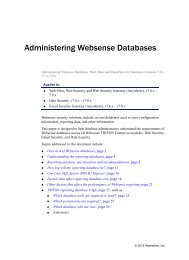 Administering Websense Databases, v7.6.x and 7.7.x