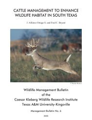 cattle management to enhance wildlife habitat in south texas