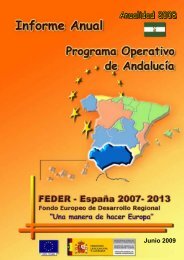 AÃ±o 2008 (pdf) - DirecciÃ³n General de Fondos Comunitarios