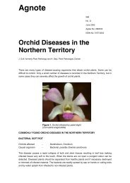 Agnote No 13: June 2002 - Orchids-World