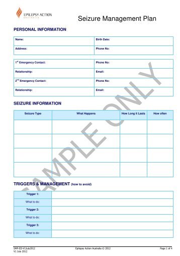seizure plan template seizure plan template image collections template design ideas seizure plan template seizure plan template image collections template design ideas