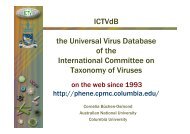 ICTVdB the Universal Virus Database of the International Committee ...