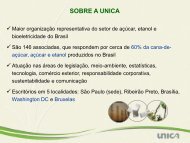 InformaÃ§Ãµes sobre a Ãnica e dados do setor sucroenergÃ©tico.