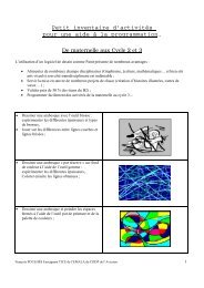 Progression d'activités de la maternelle au CM2 - Cndp