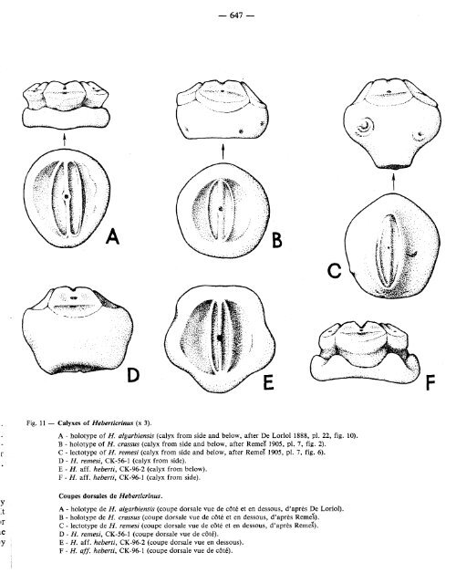 thiolliericrinid crinoids from the lower cretaceous of crimea