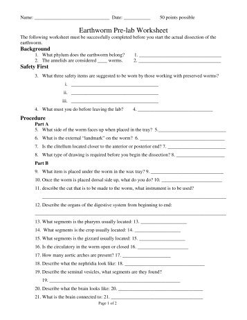 Earthworm Pre-lab Worksheet - Mr.E Science