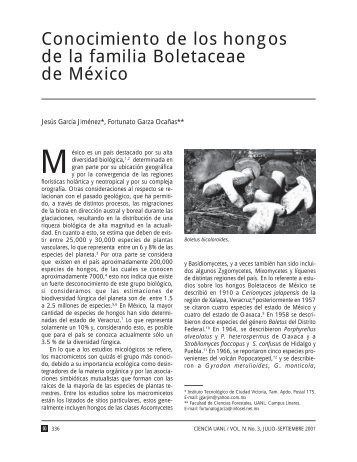Download (88Kb) - Repositorio Institucional UANL - Universidad ...