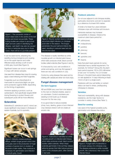 chickpEa disEasE managEmEnT FACT SHEET - Grains Research ...