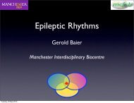 Gerold Baier - CICADA