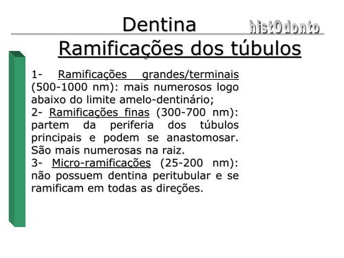 Dentina - CCS